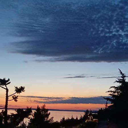 Villa Horizon Starigrad Paklenica Buitenkant foto